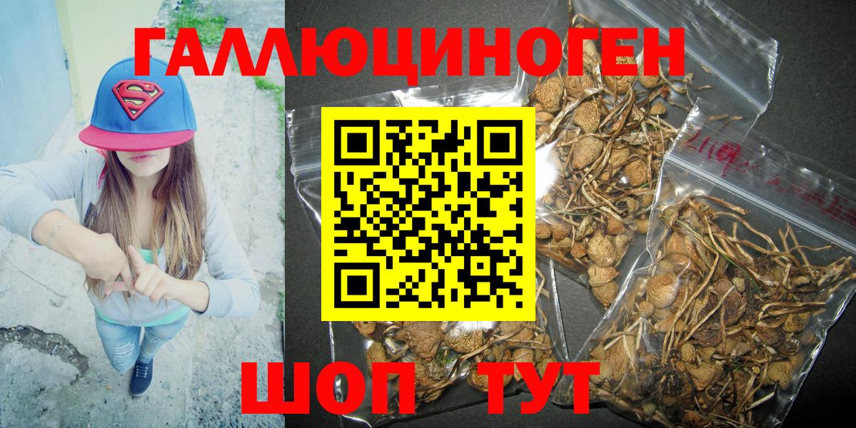 Галлюциногенные грибы GOLDEN TEACHER Рославль