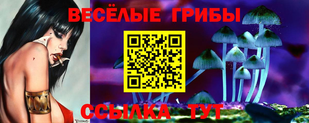 Псилоцибиновые грибы Psilocybe  Вход с VPN  Рославль 